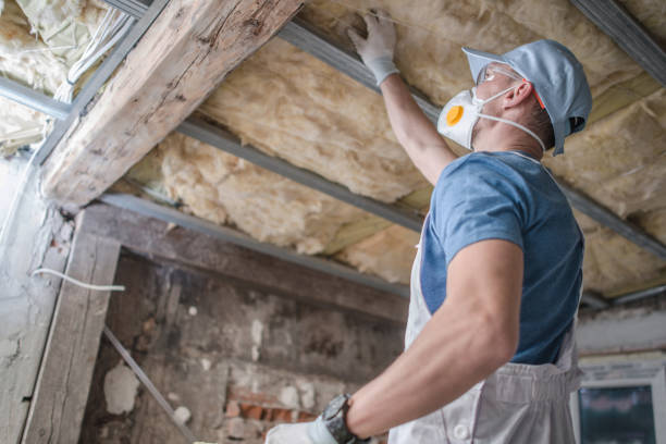 Best Insulation Maintenance and Repair in University Park, NM